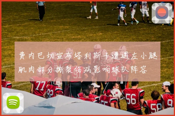 费内巴切宣布塔利斯卡遭遇左小腿肌肉部分撕裂伤病影响球队阵容