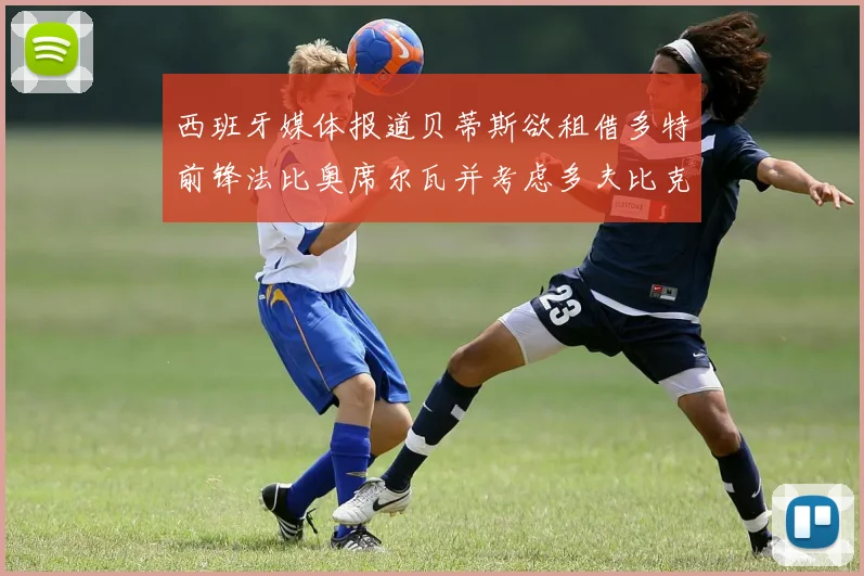 西班牙媒体报道贝蒂斯欲租借多特前锋法比奥席尔瓦并考虑多夫比克