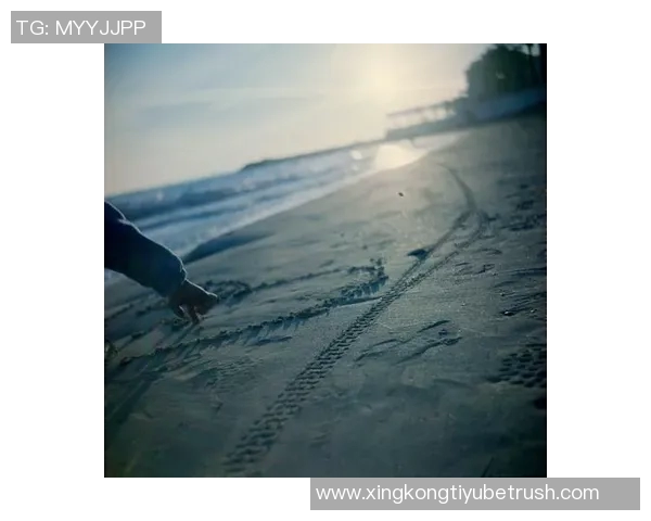 阿什拉夫：人生旅途中的跌倒与重生是成长的关键所在